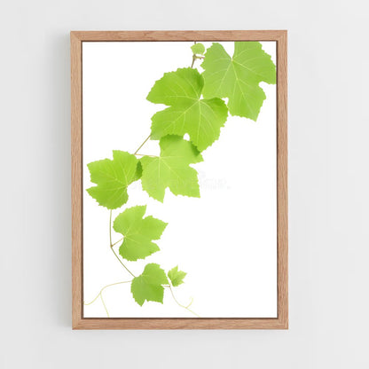 ap-grape vine-8 cadre Bois clair