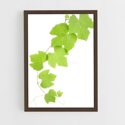 ap-grape vine-8 cadre Bois foncé