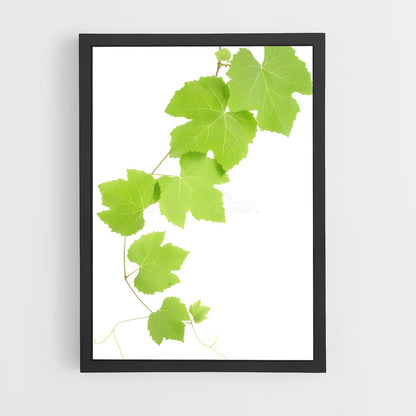 ap-grape vine-8 cadre Noir