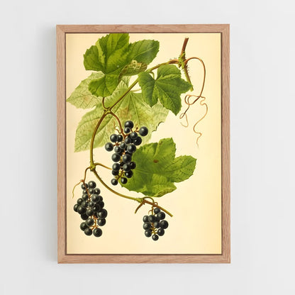 ap-grape vine-9 cadre Bois clair