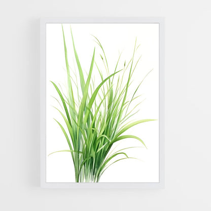 ap-grass-1 cadre Blanc