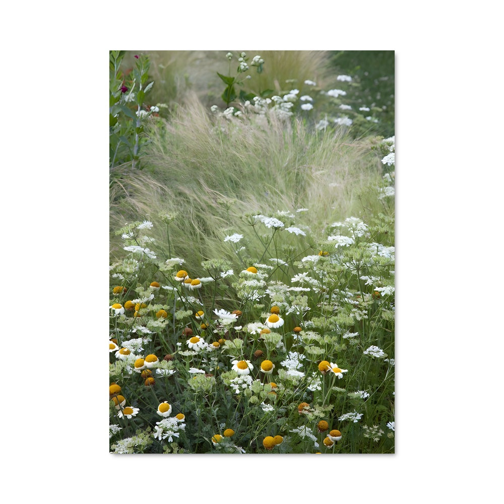 Poster Grassland 97380
