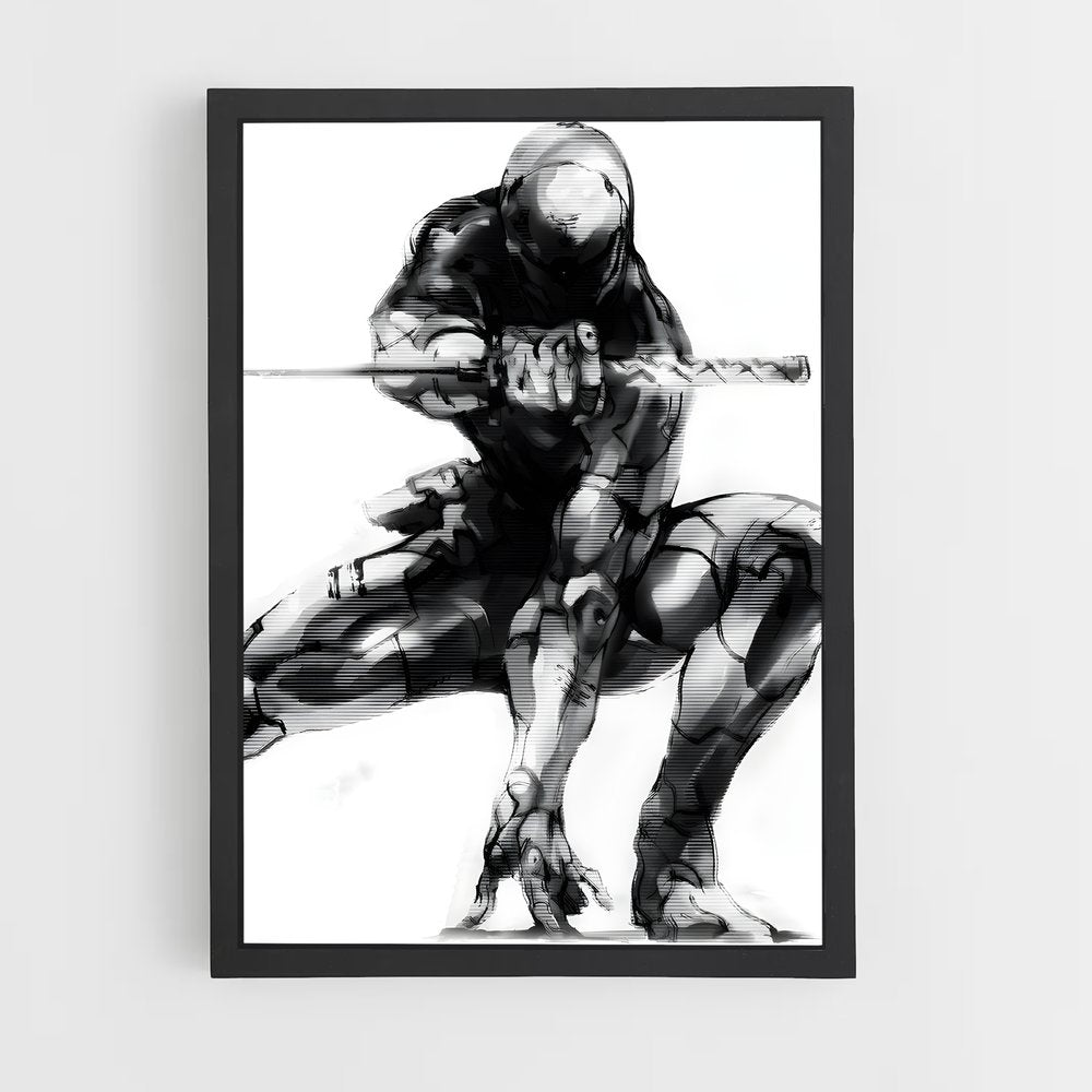 ap-gray fox-1 cadre Noir