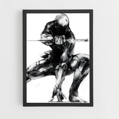 ap-gray fox-1 cadre Noir