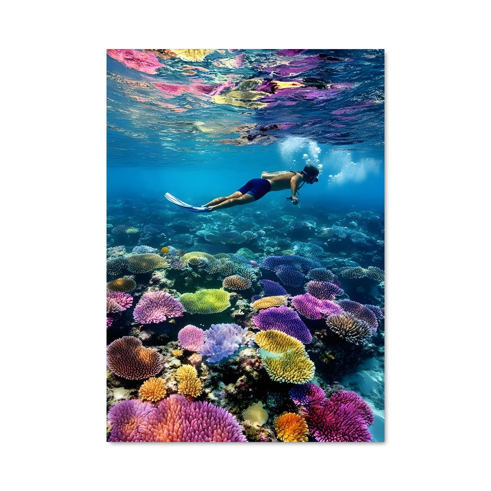 Poster Rêve de Corail