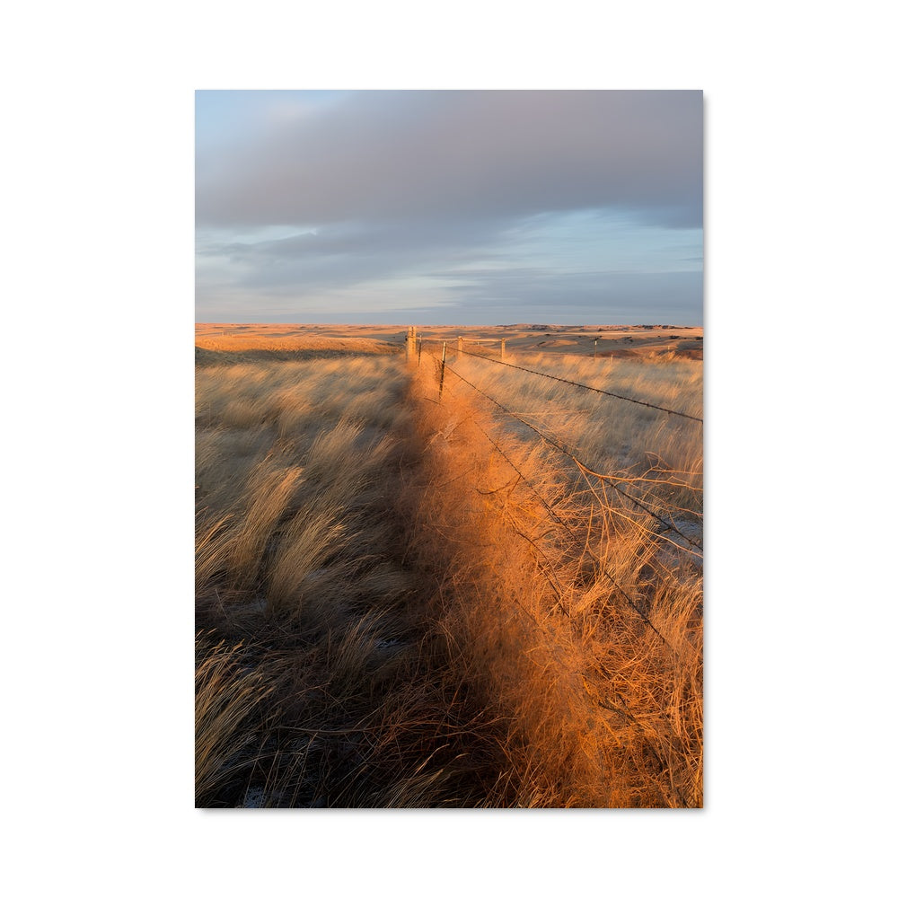 Poster L'Enclos des Prairies