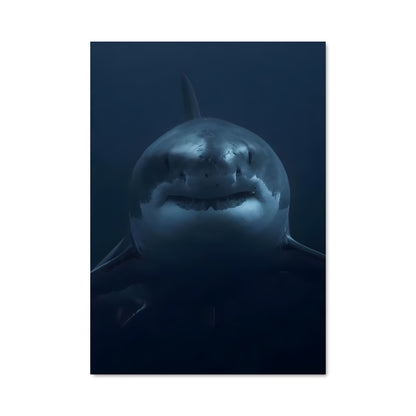 Poster Rencontres Carcharodon