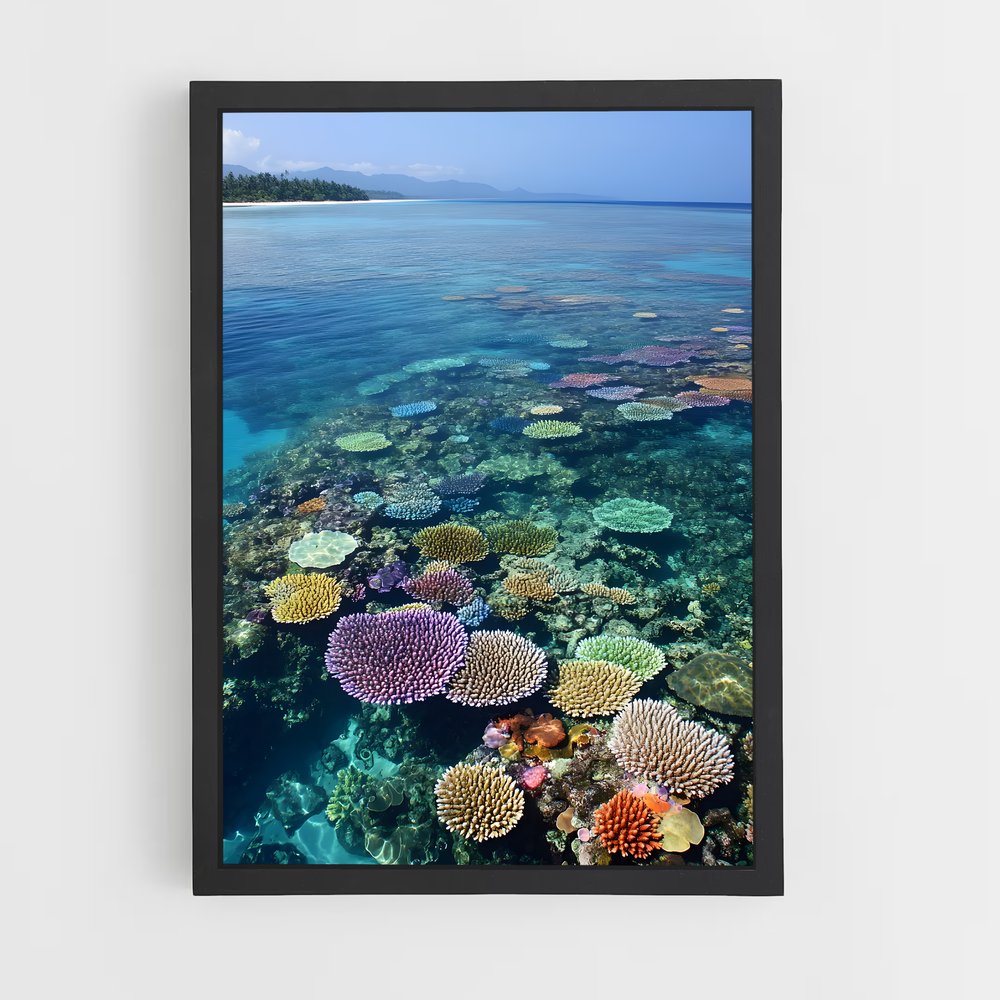 ap-great barrier reef-17 cadre Noir