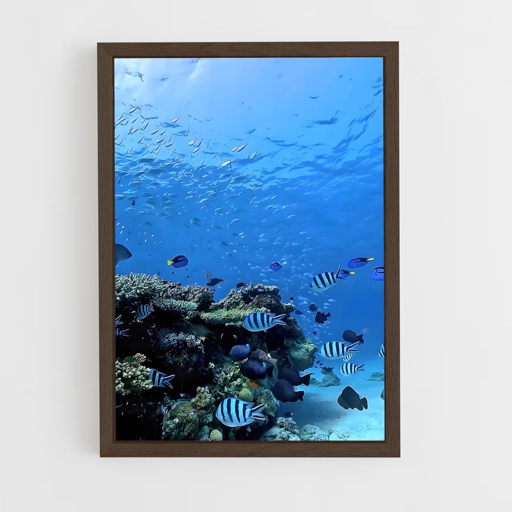 ap-great barrier reef-27 cadre Bois foncé