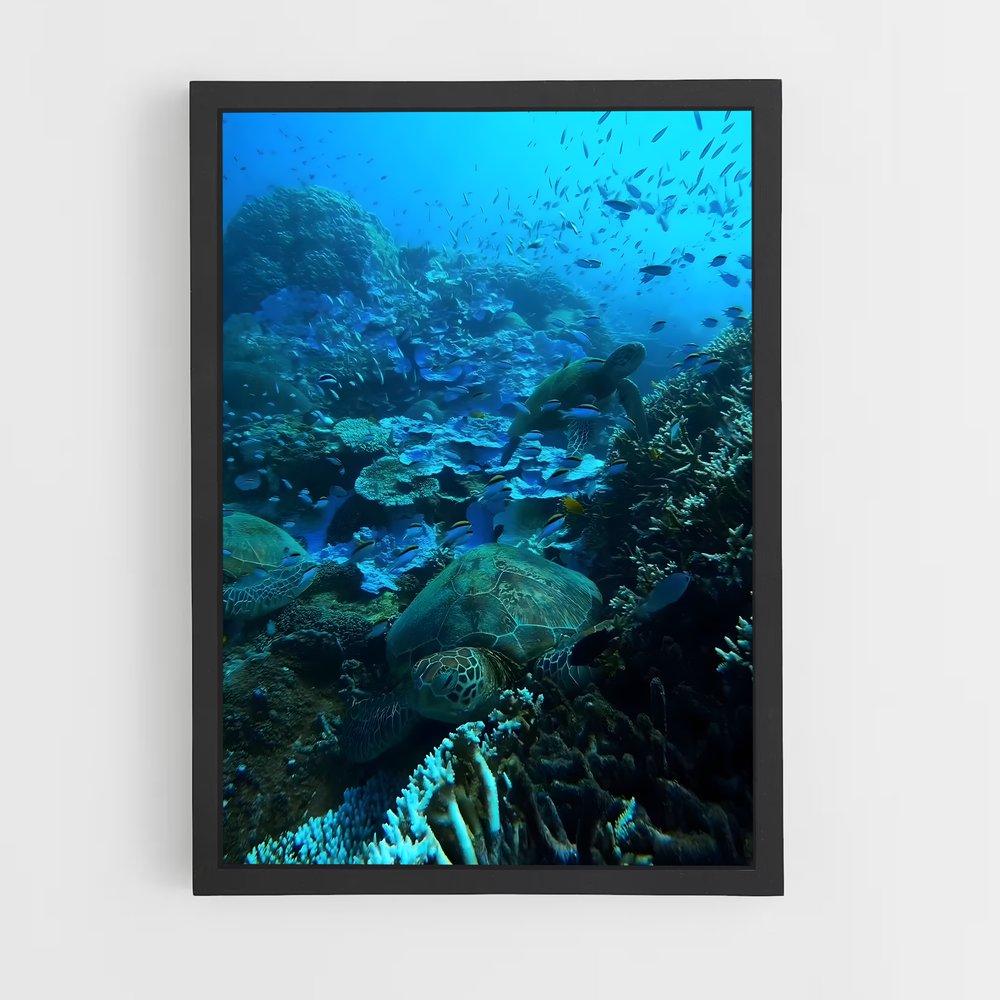 ap-great barrier reef-30 cadre Noir
