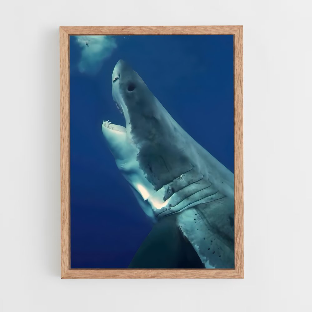 ap-great white shark encounters-2 cadre Bois clair