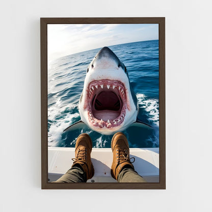 ap-great white shark encounters-6 cadre Bois foncé