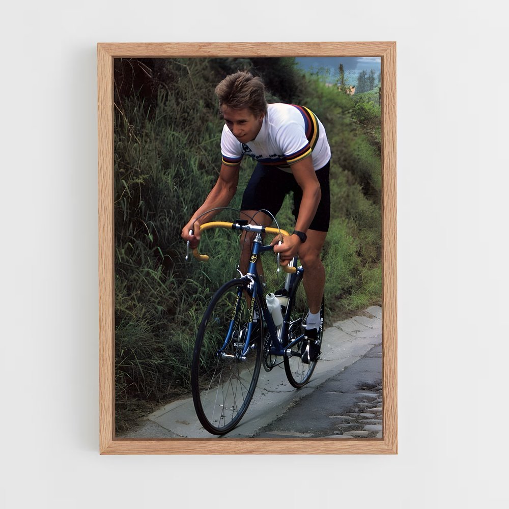 ap-greg lemond-2 cadre Bois clair