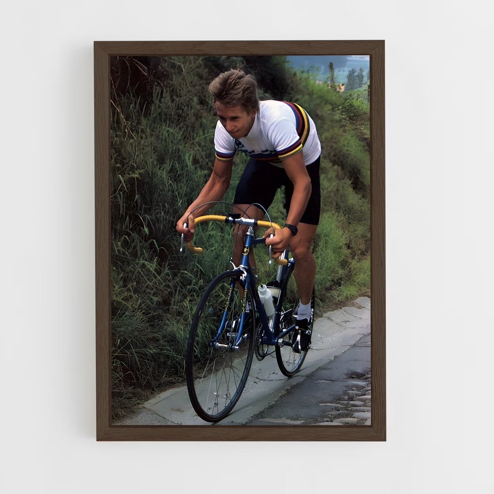 ap-greg lemond-2 cadre Bois foncé