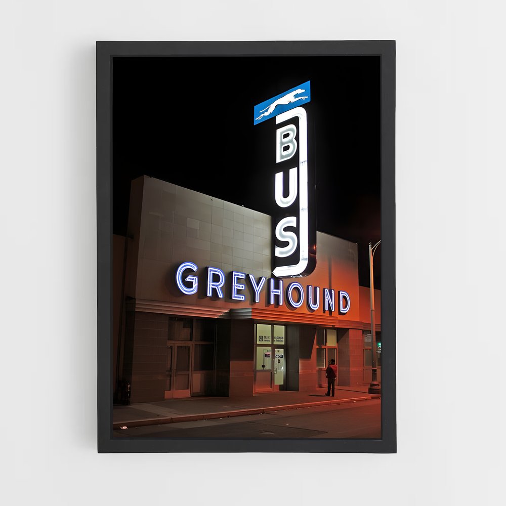 ap-greyhound-4 cadre Noir
