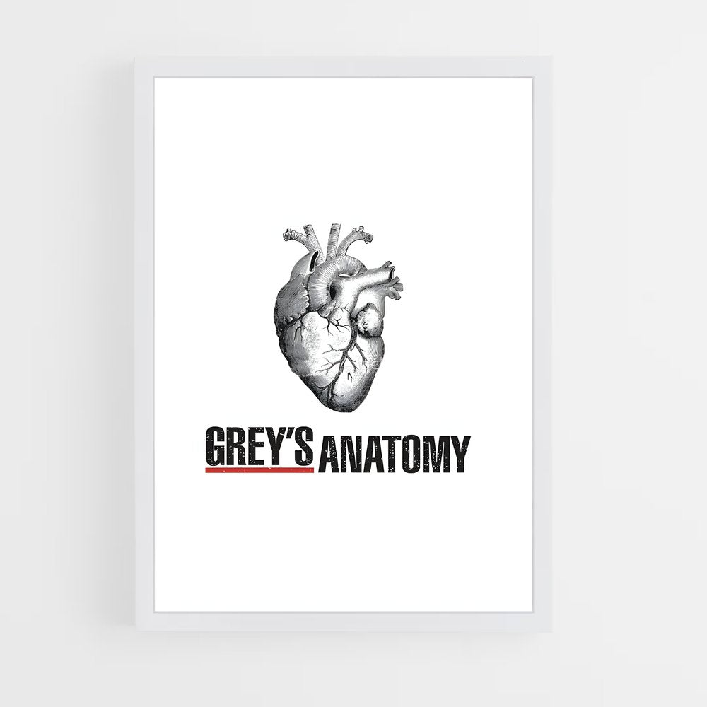 ap-greys anatomy-2 cadre Blanc