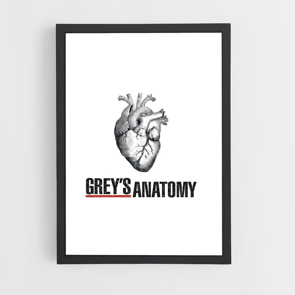 ap-greys anatomy-2 cadre Noir