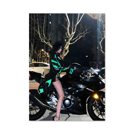 Poster Gsx250r 82743