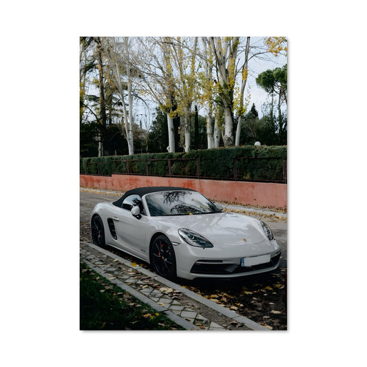 Poster Porsche Évasion