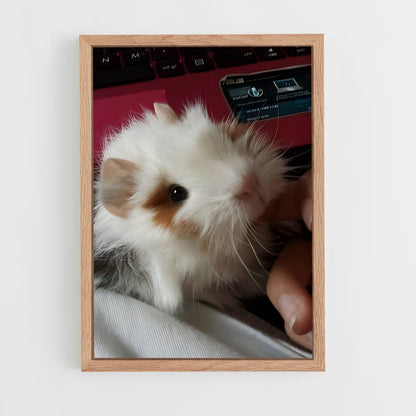 ap-guinea pig-3 cadre Bois clair