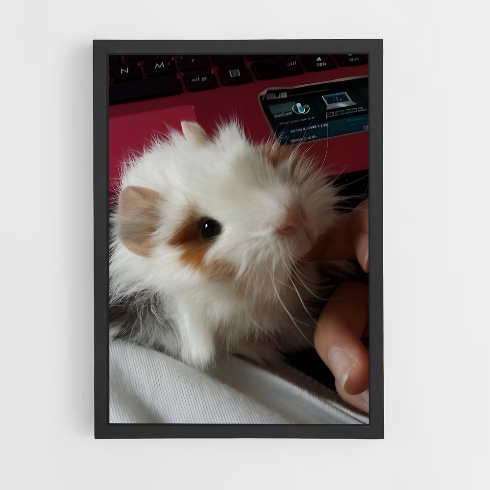 ap-guinea pig-3 cadre Noir