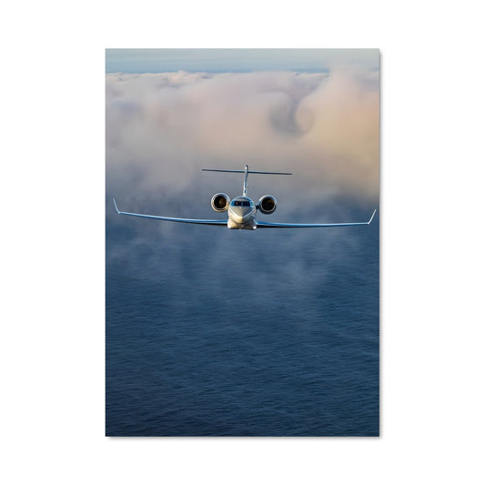 Poster Vol Océanique