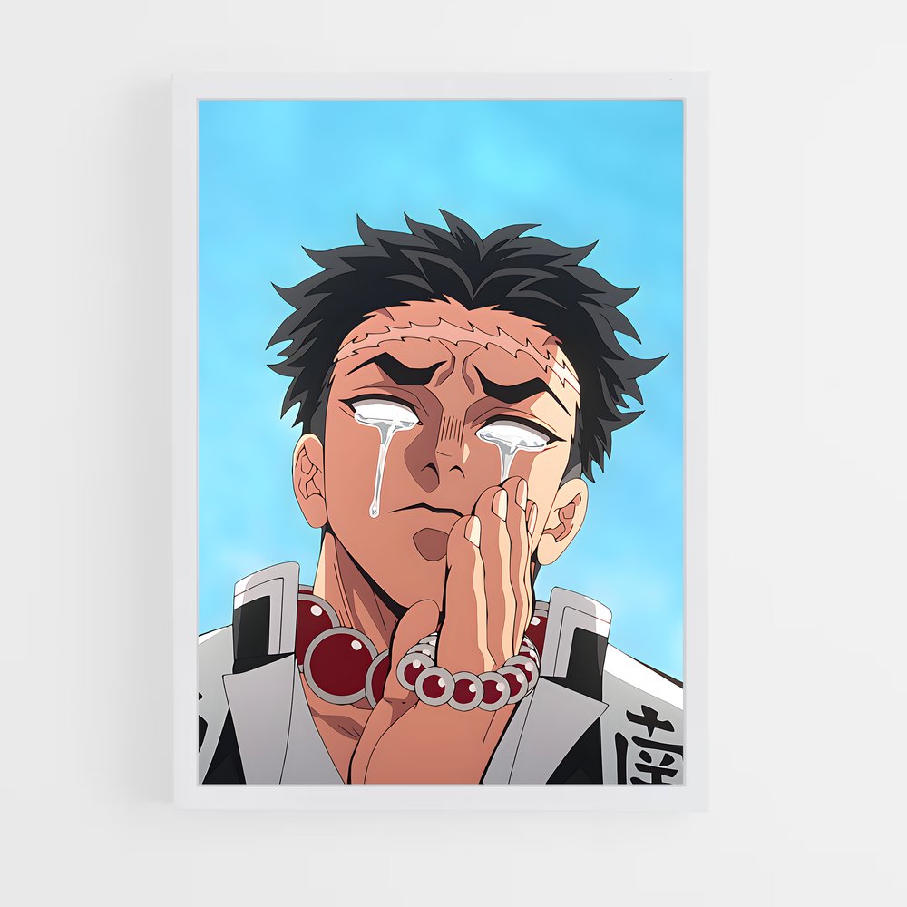 ap-gyomei himejima-2 cadre Blanc