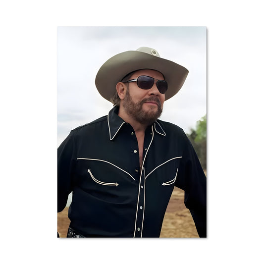 Poster Le Cowboy Cool