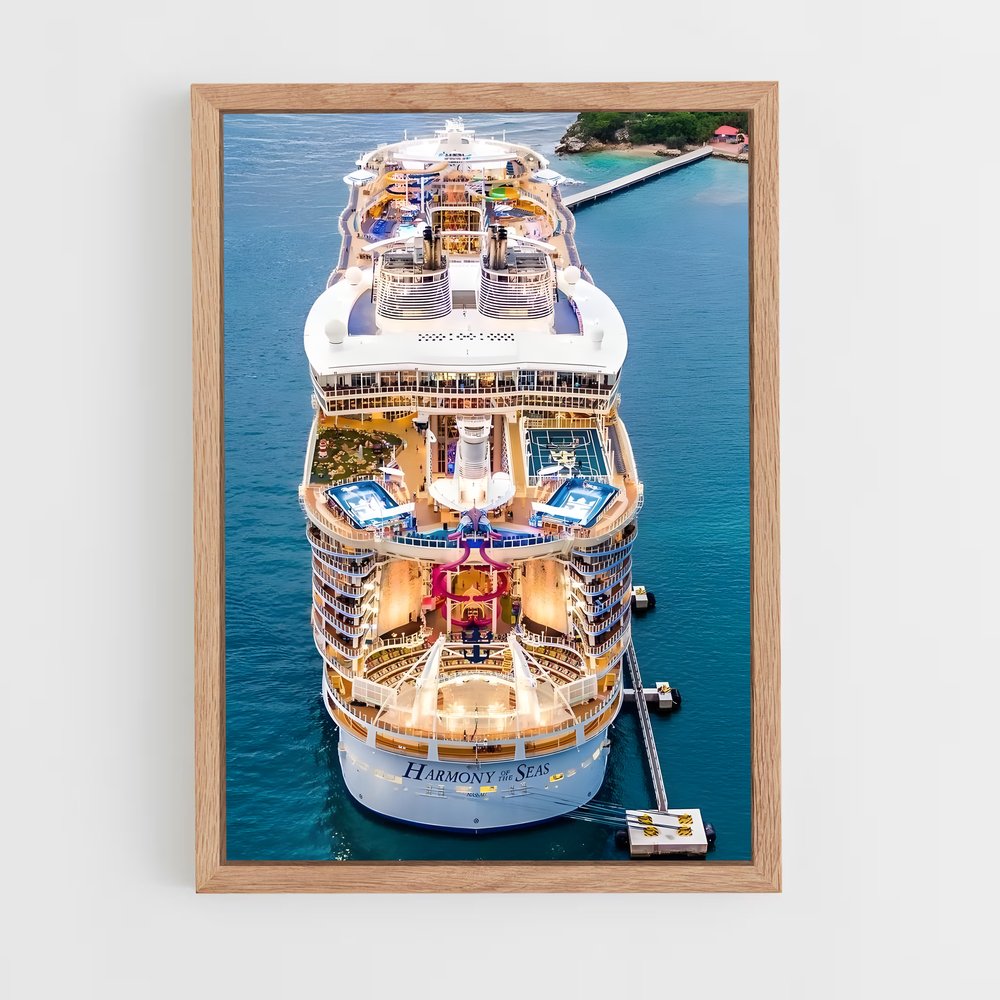 ap-harmony of the seas-1 cadre Bois clair