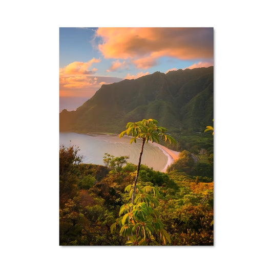 Poster Évasion à Hawaii