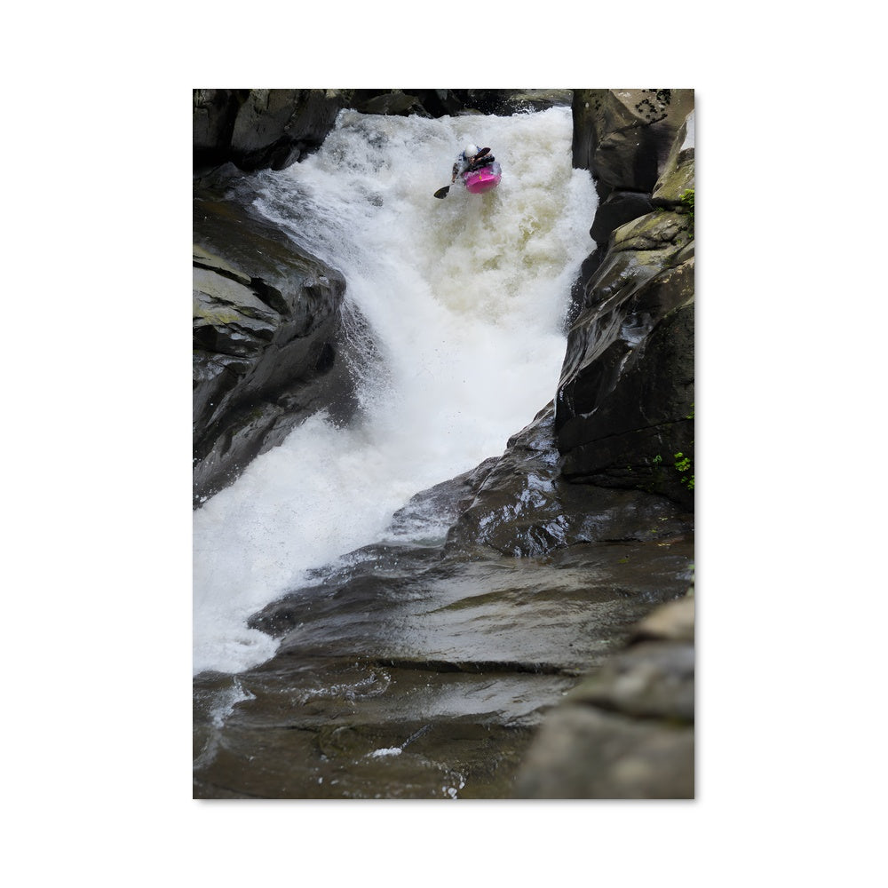 Poster Surfing the Rapids