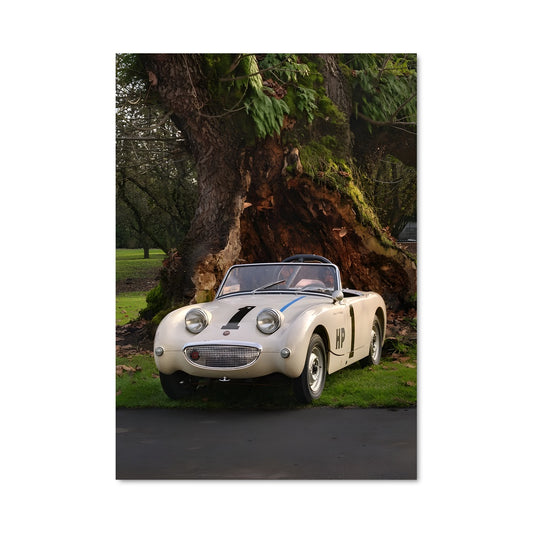 Poster Healey 77769
