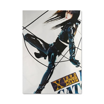 Poster Catwoman Japonais