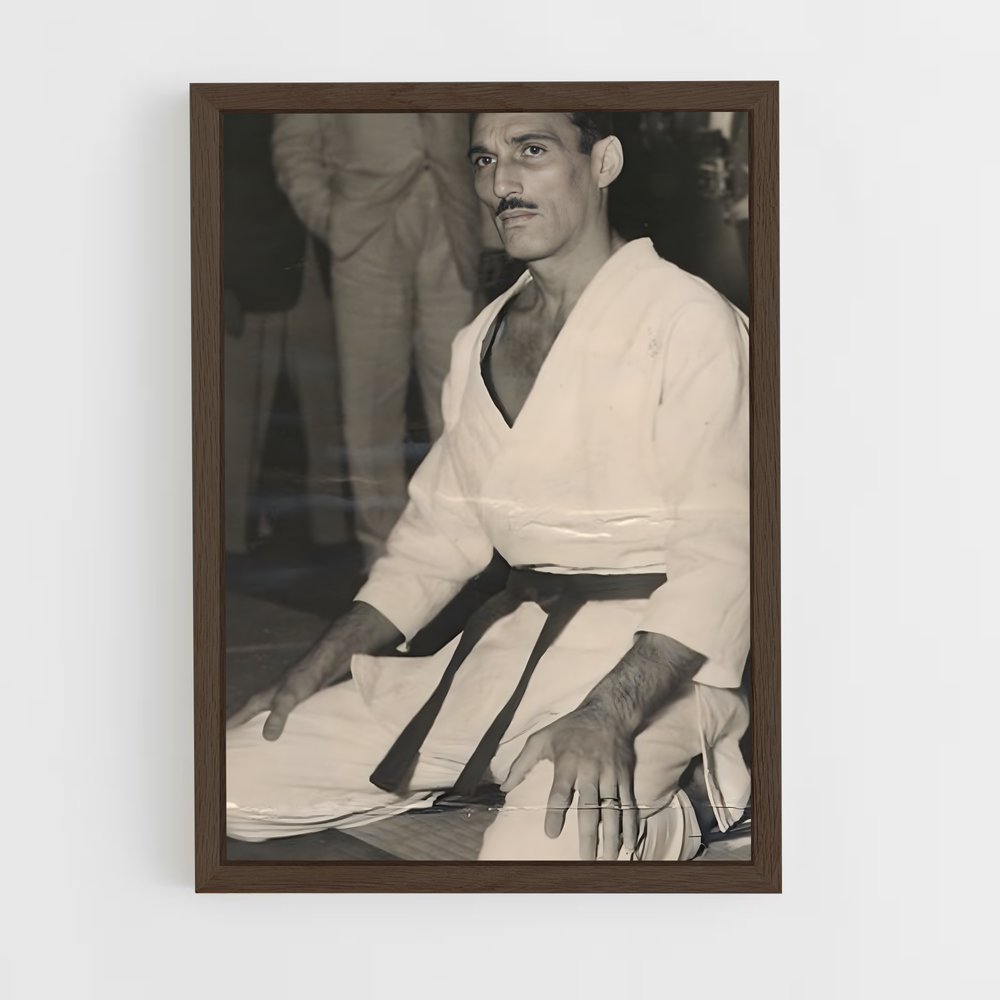 ap-helio gracie-1 cadre Bois foncé