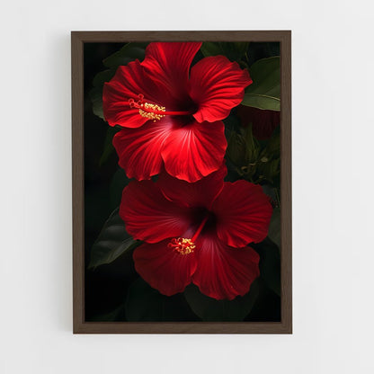 ap-hibiscus-1 cadre Bois foncé