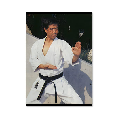 Poster Esprit de Karaté
