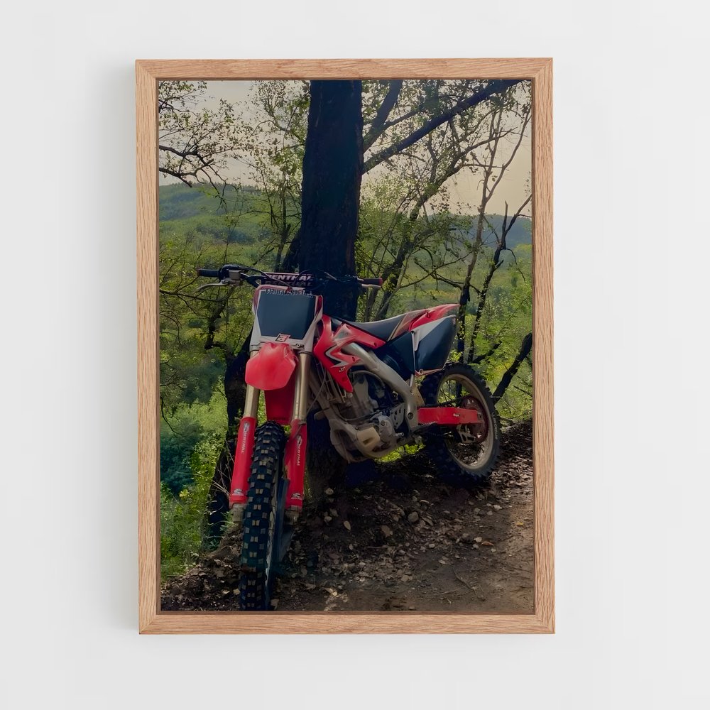 ap-honda crf250r-3 cadre Bois clair
