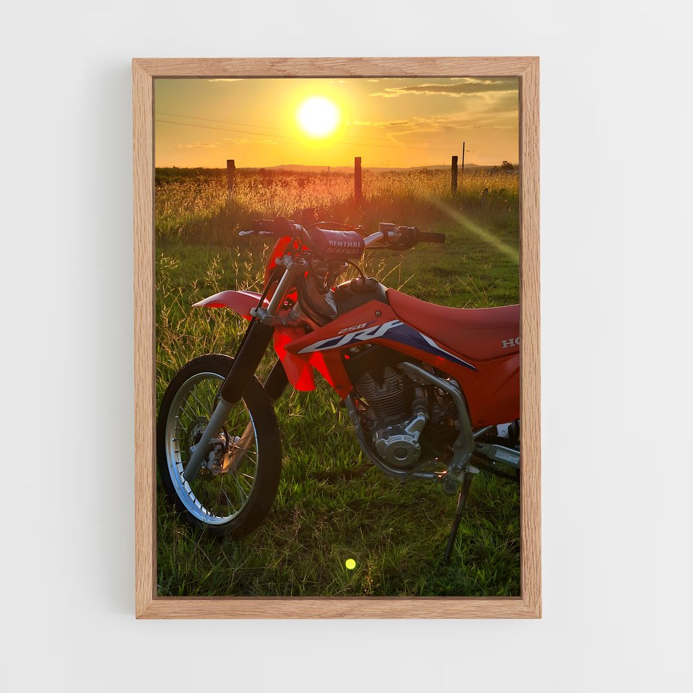 ap-honda crf250r-5 cadre Bois clair