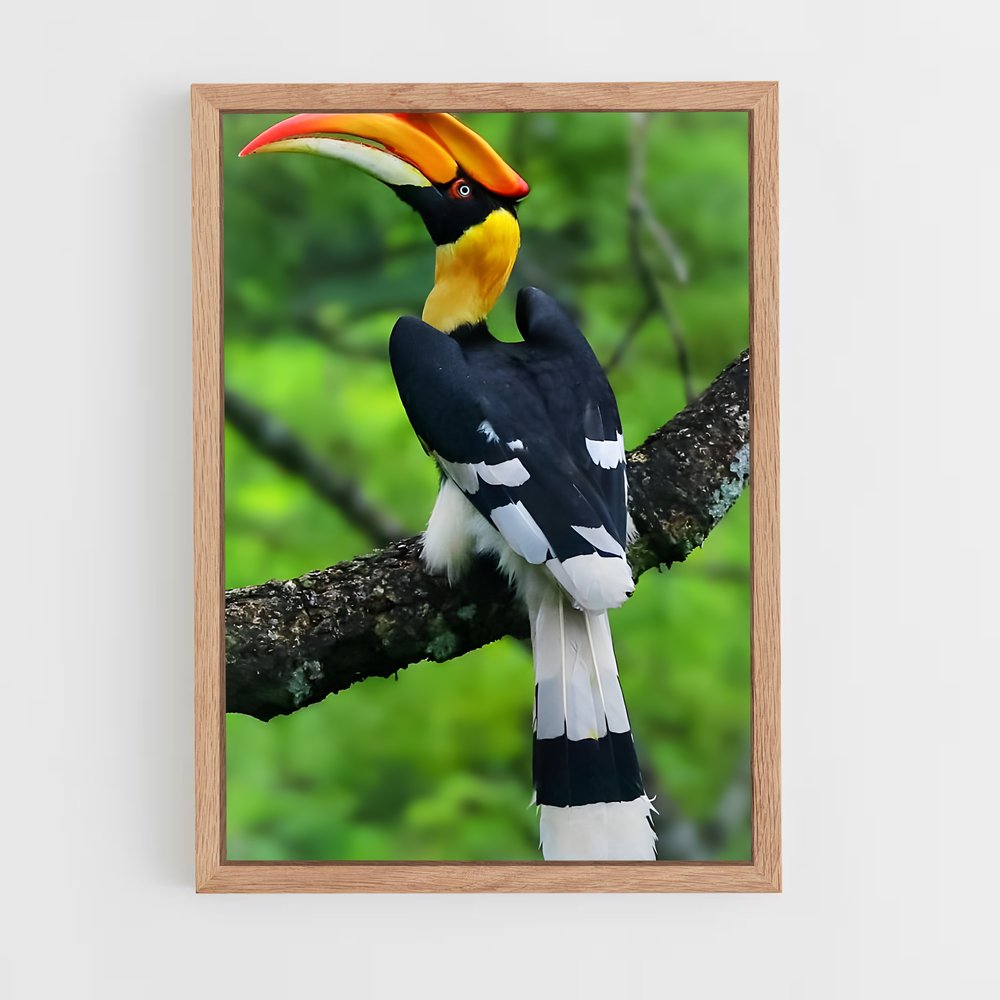 ap-hornbill-1 cadre Bois clair