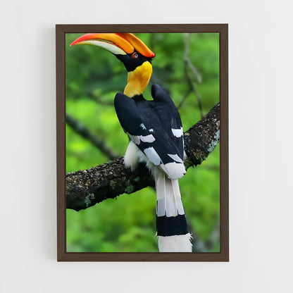 ap-hornbill-1 cadre Bois foncé