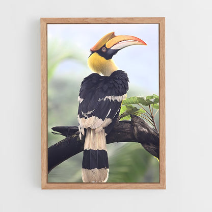 ap-hornbill-2 cadre Bois clair