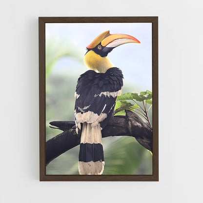 ap-hornbill-2 cadre Bois foncé