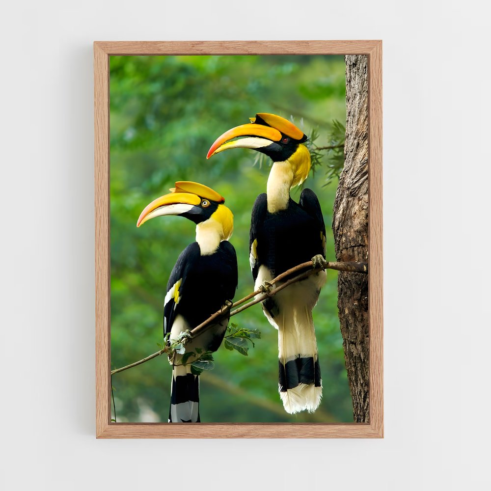 ap-hornbill-3 cadre Bois clair