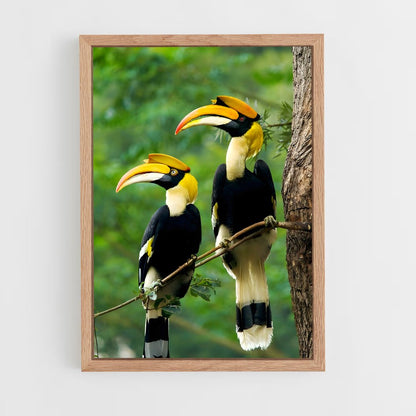 ap-hornbill-3 cadre Bois clair