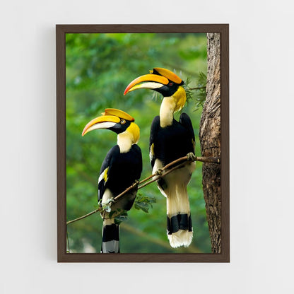 ap-hornbill-3 cadre Bois foncé