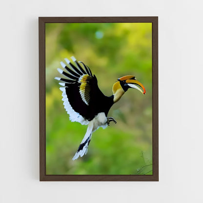 ap-hornbill-4 cadre Bois foncé