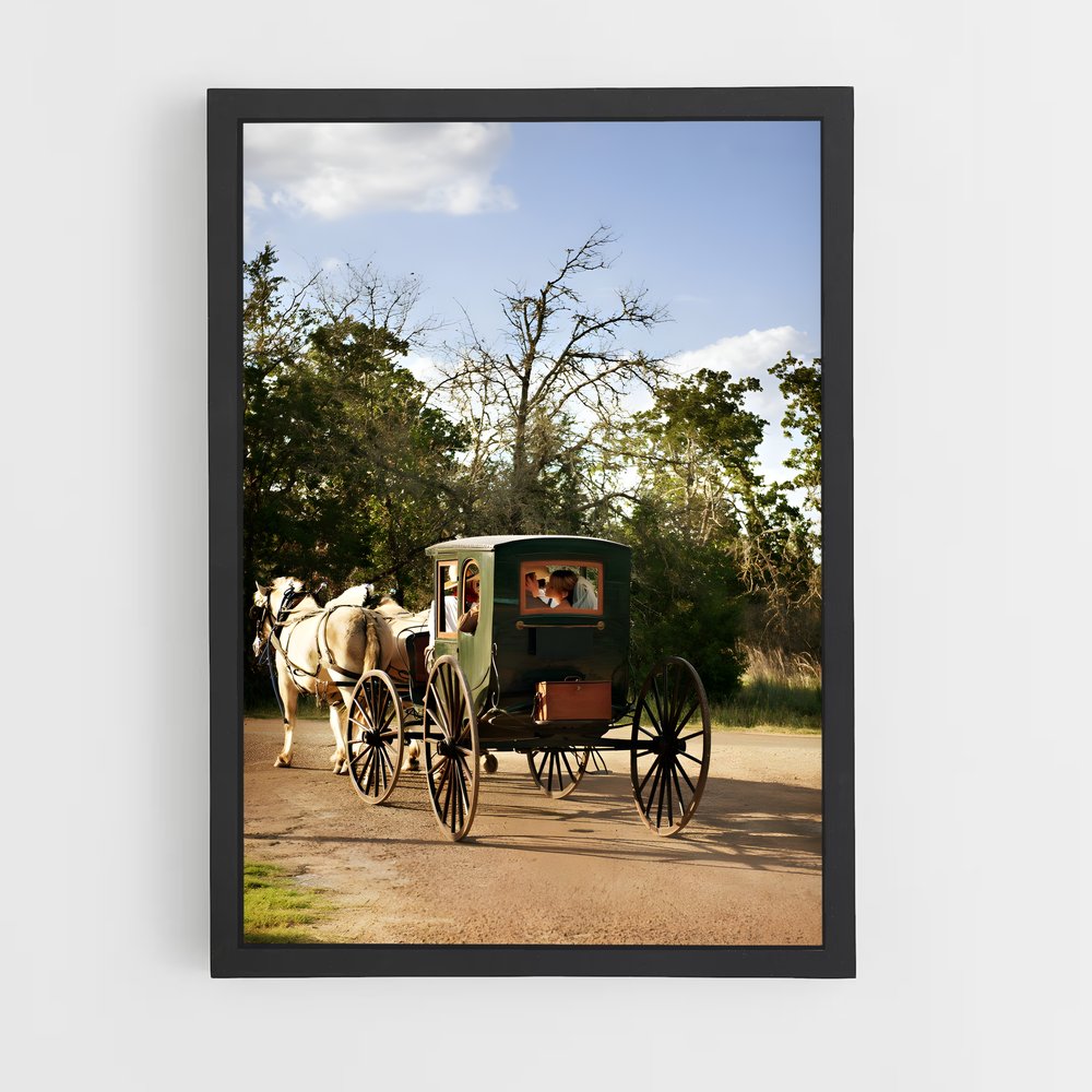 ap-horse carriage-5 cadre Noir