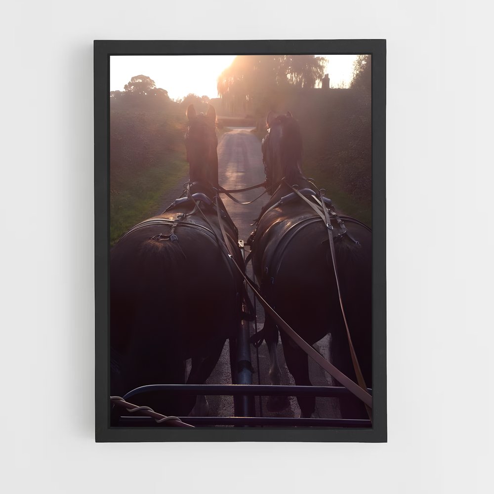 ap-horse carriage-6 cadre Noir