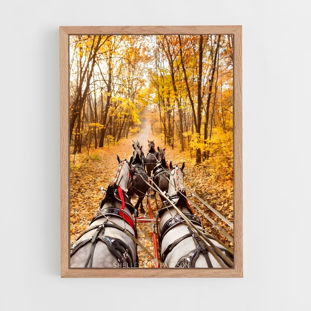 ap-horse carriage-9 cadre Bois clair