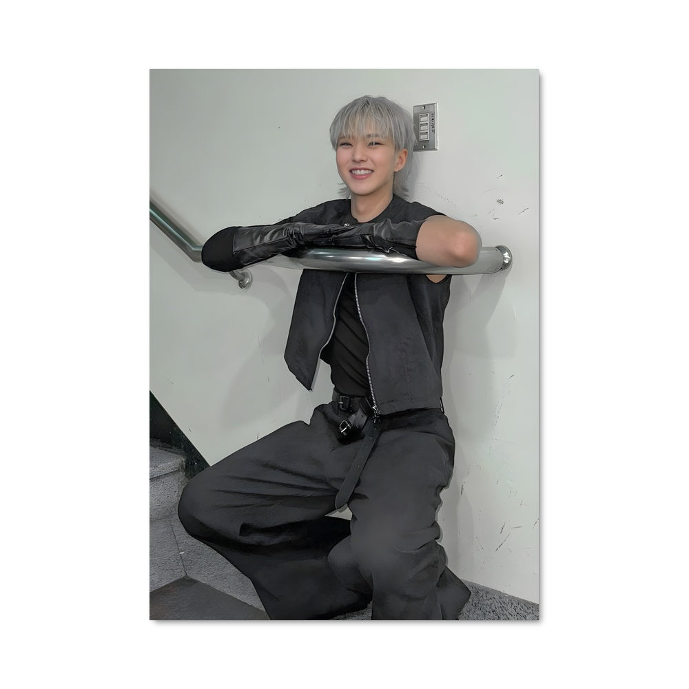 Poster Hoshi 49307